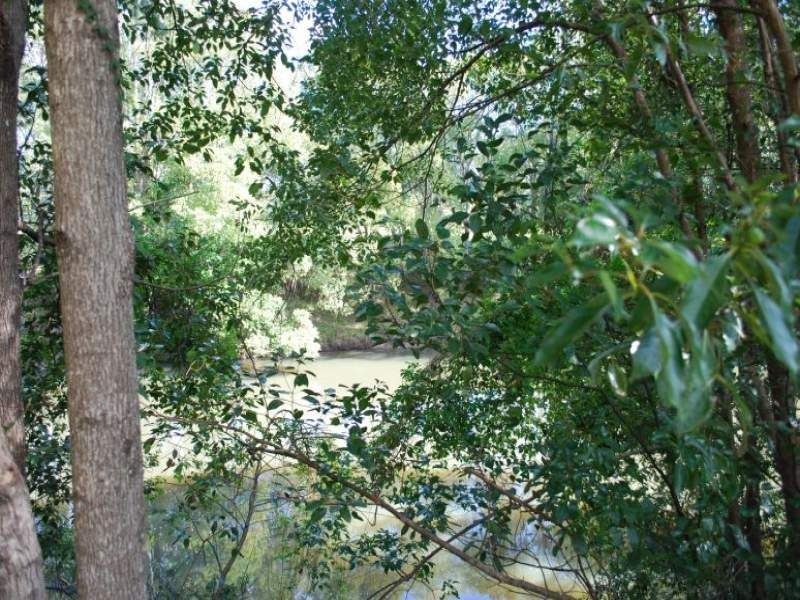 1248 Kyogle Road, Uki NSW 2484