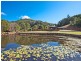 22 Cabbage Gum Road, Pottsville NSW 2489
