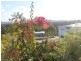 13 Echidna Street, Pottsville NSW 2489