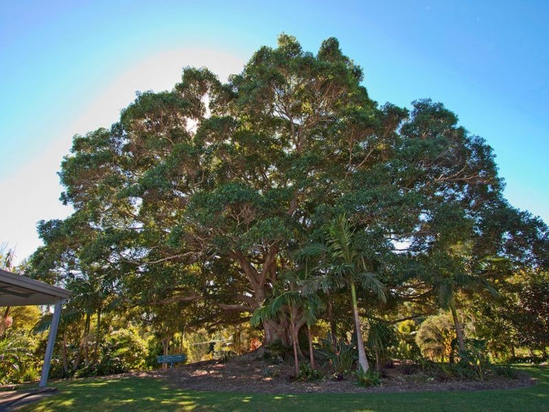 10 Hazelwood Drive, Pottsville NSW 2489