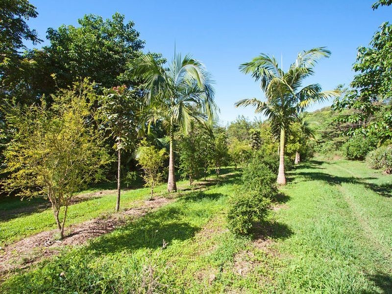 310 Cudgera Creek Road, Cudgera Creek NSW 2484