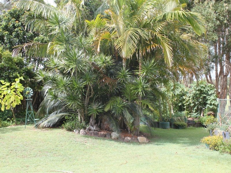 17 McKenzie Avenue, Pottsville NSW 2489