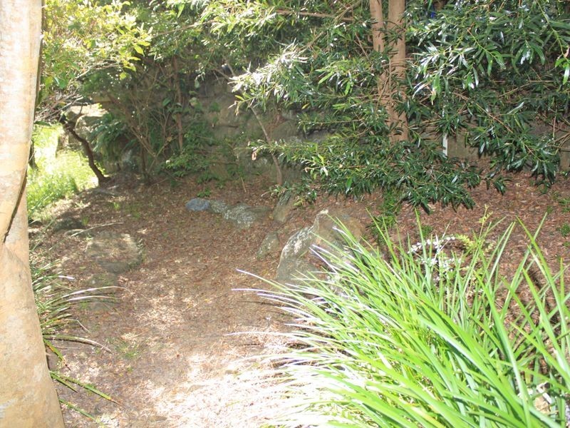 13 Sassafras Street, Pottsville NSW 2489