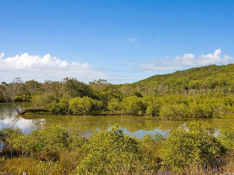 20 Creek Street, Hastings Point NSW 2489