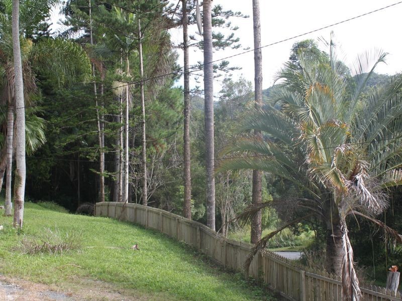 3 Yalambee Street, Pottsville NSW 2489