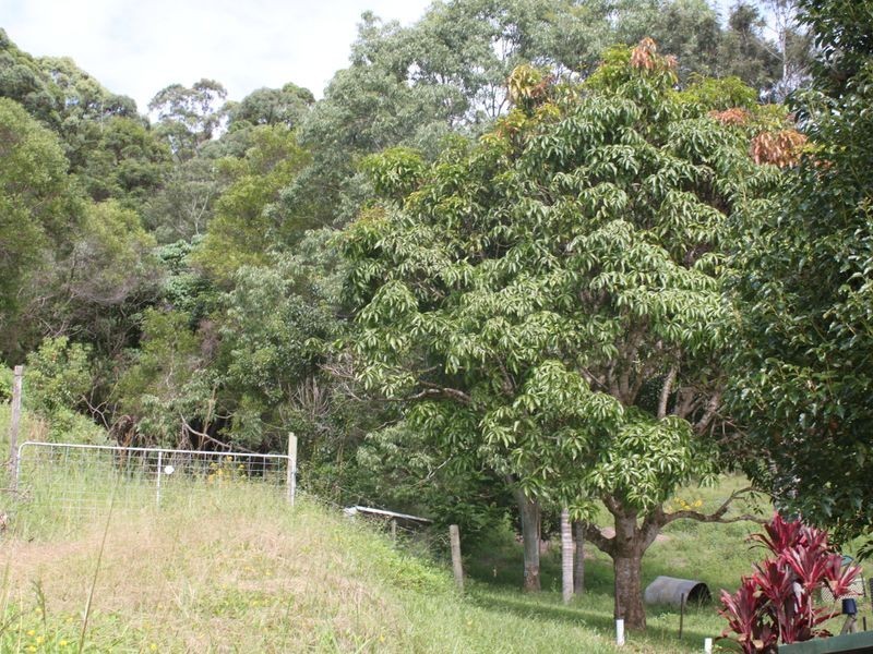 3 Yalambee Street, Pottsville NSW 2489