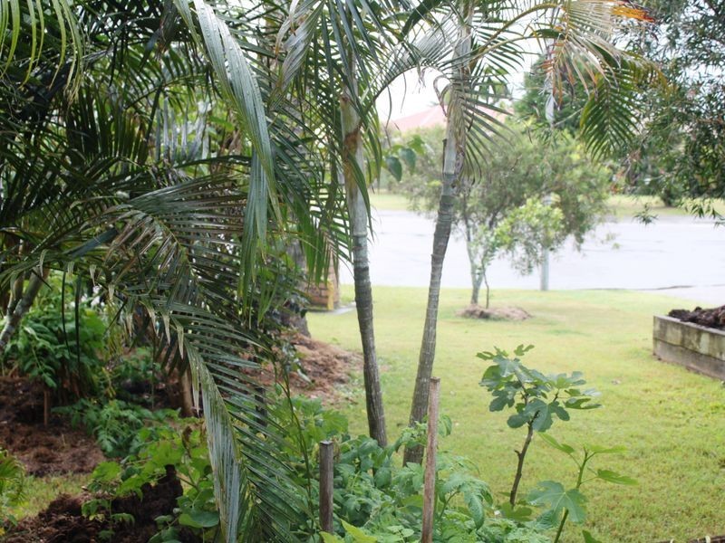 1/81 Andrew Avenue, Pottsville NSW 2489