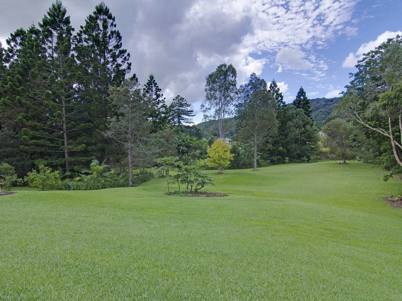 23 The Grove, Clothiers Creek NSW 2484