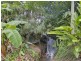 23 The Grove, Clothiers Creek NSW 2484