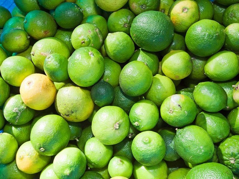 310 Cudgera Creek Road, Pottsville NSW 2489