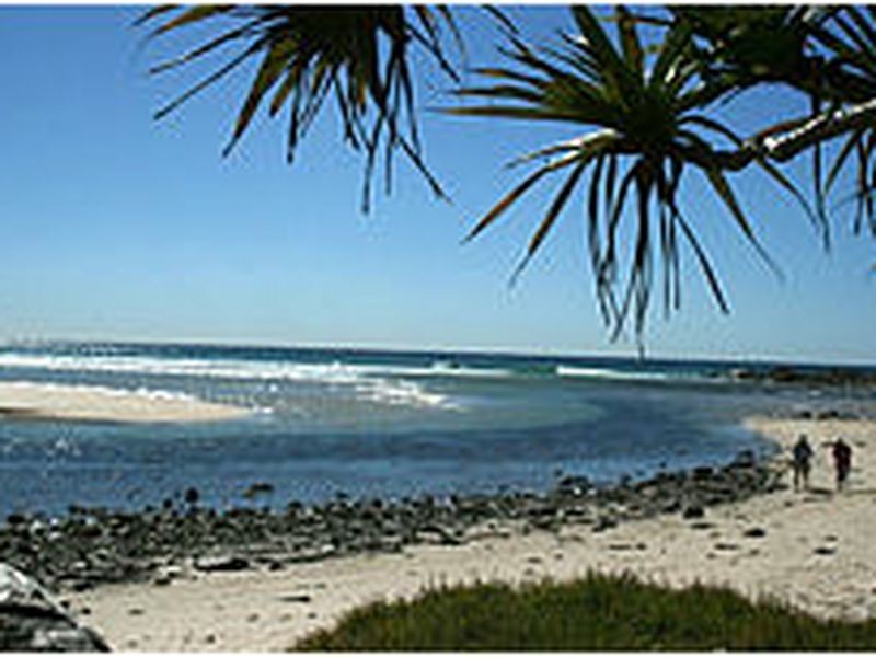 37 Tweed Coast Road, Hastings Point NSW 2489