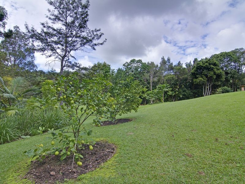 23 The Grove, Murwillumbah NSW 2484
