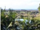Cudgera Creek NSW 2484