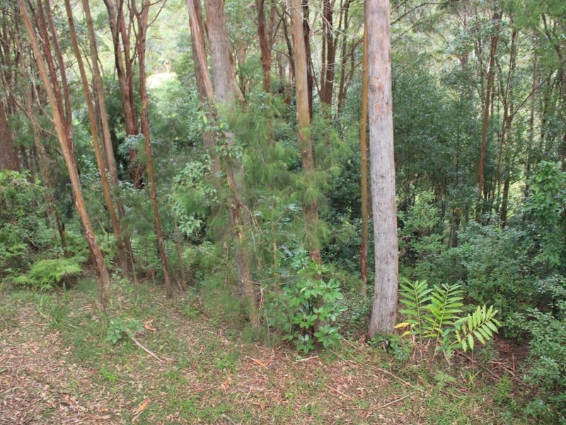 2/13 Tanglewood Drive, Cabarita Beach NSW 2488