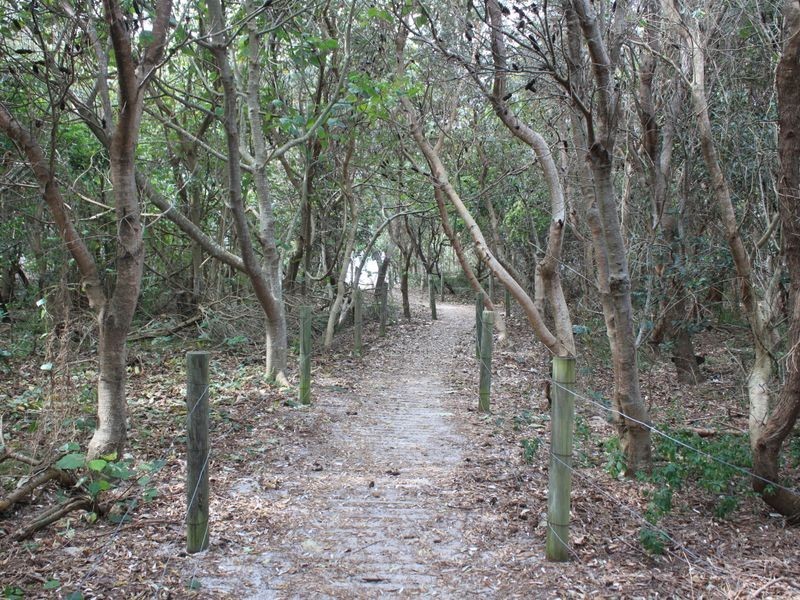 Lot 25 / 6 Casuarina Way, Casuarina NSW 2487