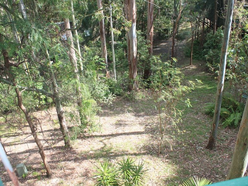 1/13 Tanglewood Drive, Tanglewood NSW 2488