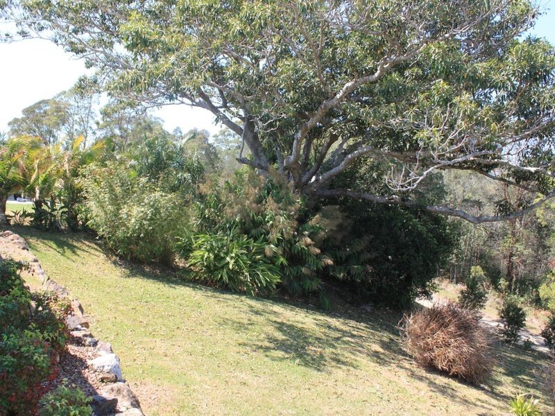 41 Macadamia Drive, Pottsville NSW 2489