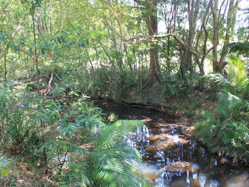 840 Cudgera Creek Road, Pottsville NSW 2489