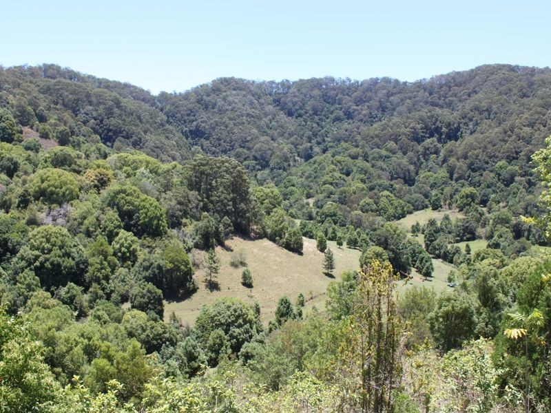 205 Kiely’s Road, Mooball NSW 2483