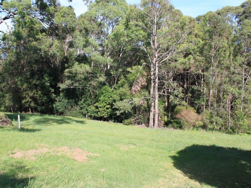 17 Sassafras Street, Pottsville NSW 2489