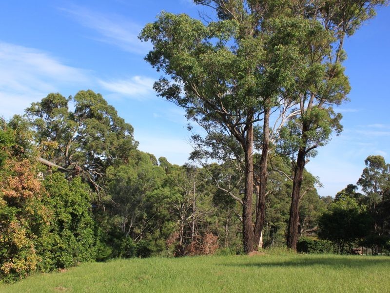 17 Sassafras Street, Pottsville NSW 2489