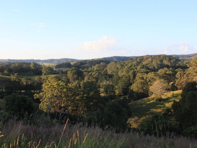 1734 Reserve Creek Road, Pottsville NSW 2489