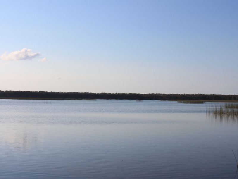 17/77 Tamarind Avenue, Cabarita Beach NSW 2488