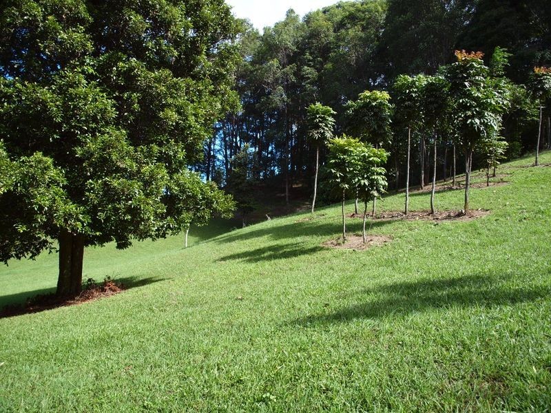 Lot 6 Wallum Court, Cabarita Beach NSW 2488