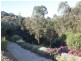 Lot 6 Wallum Court, Cabarita Beach NSW 2488