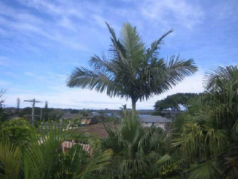 9 Bimbadeen Avenue, Banora Point NSW 2486