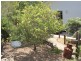 2 Bunya Crescent, Pottsville NSW 2489
