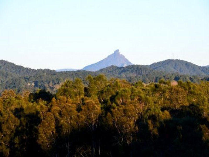 18 Euodia Avenue, Pottsville NSW 2489