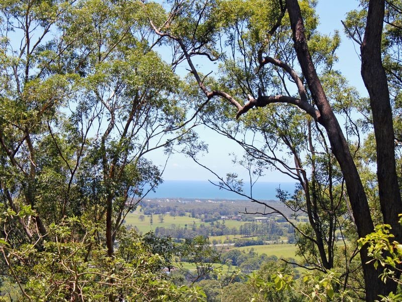 181 Cabbage Gum Road, Pottsville NSW 2489