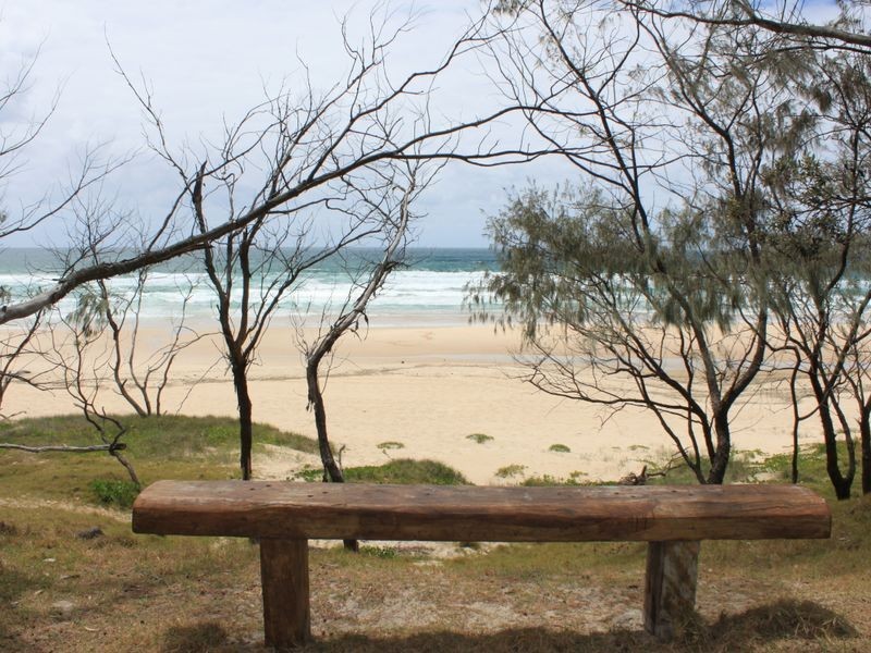 13 Elfran Avenue, Pottsville NSW 2489