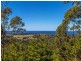 Lot 315 Pottsville/Mooball Road, Pottsville NSW 2489