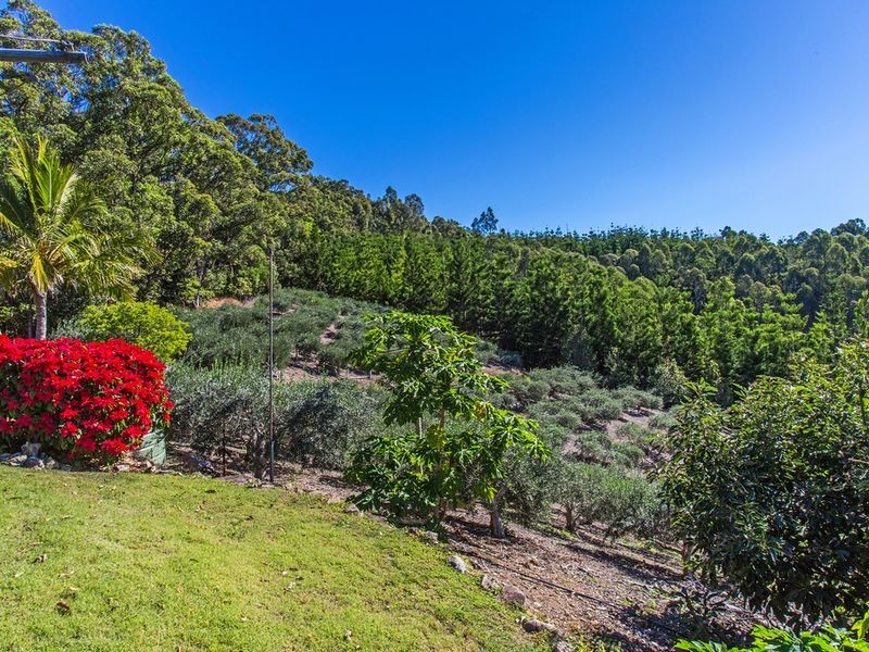 Lot 315 Pottsville/Mooball Road, Pottsville NSW 2489