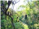 5 (Lot 606 Melia Court, Pottsville NSW 2489