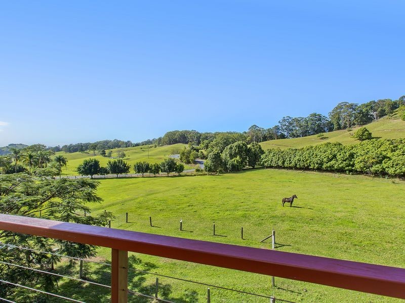 1204 Reserve Creek Road, Reserve Creek NSW 2484