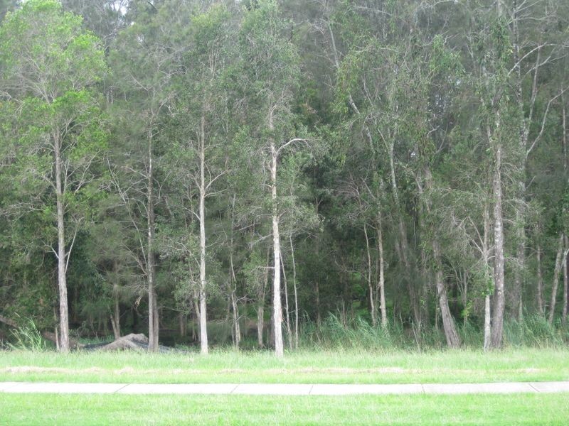 74 Sugarglider Drive, Pottsville NSW 2489