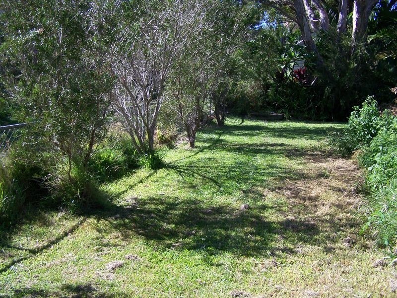 9 Tamarind Avenue, Cabarita Beach NSW 2488