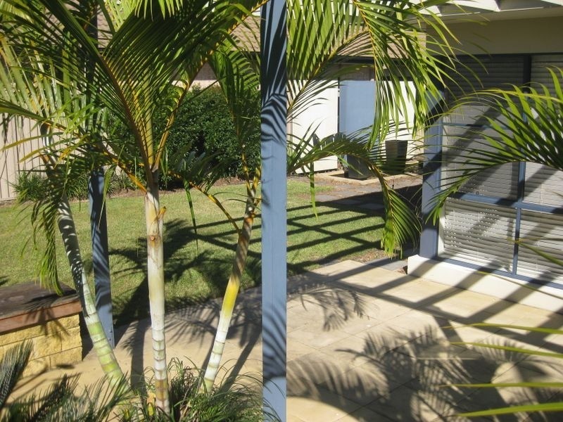 20 Ballina Street, Pottsville Beach NSW 2489