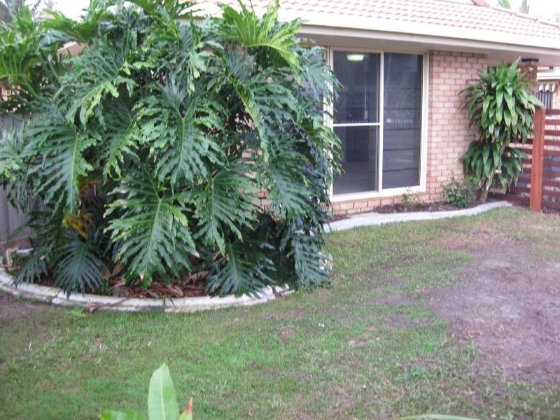 1/3 Hampton Court, Pottsville Beach NSW 2489