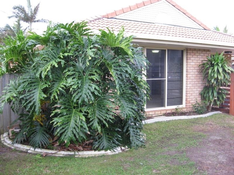 1/3 Hampton Court, Pottsville Beach NSW 2489