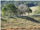 575 Clothiers Creek Road, Hastings Point NSW 2489