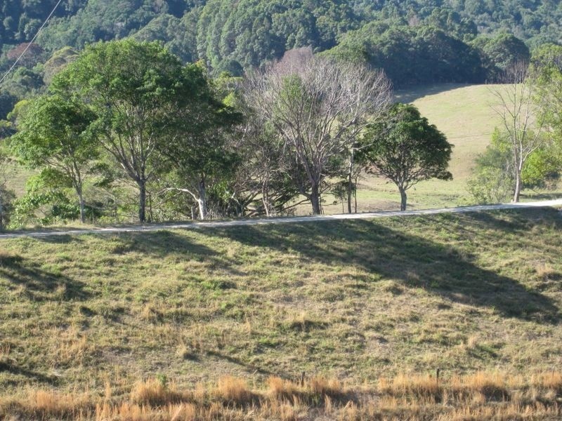 575 Clothiers Creek Road, Hastings Point NSW 2489