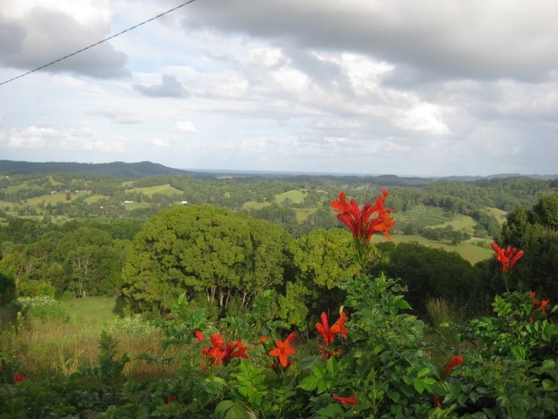 15 Doubleview Road, Farrants Hill NSW 2484