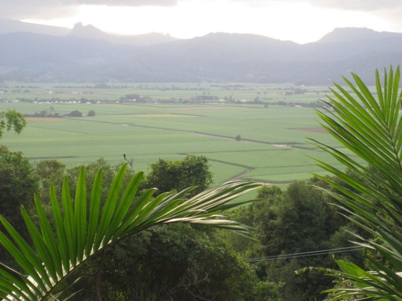 15 Doubleview Road, Farrants Hill NSW 2484