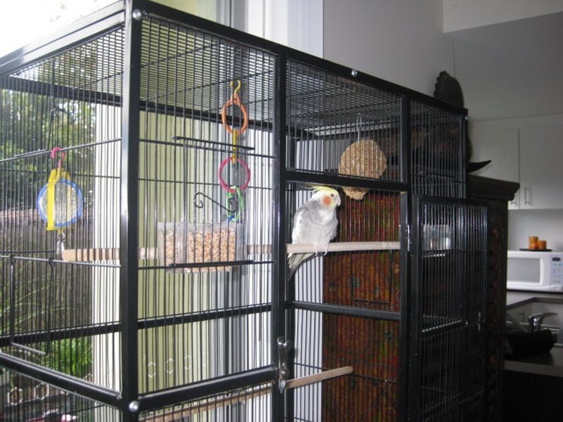 4/1-6 Lennox Circuit, Pottsville NSW 2489