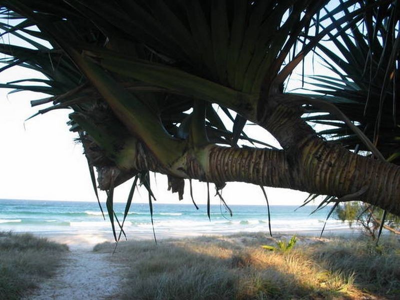 PAVILLIONS Overall Drive, Pottsville NSW 2489