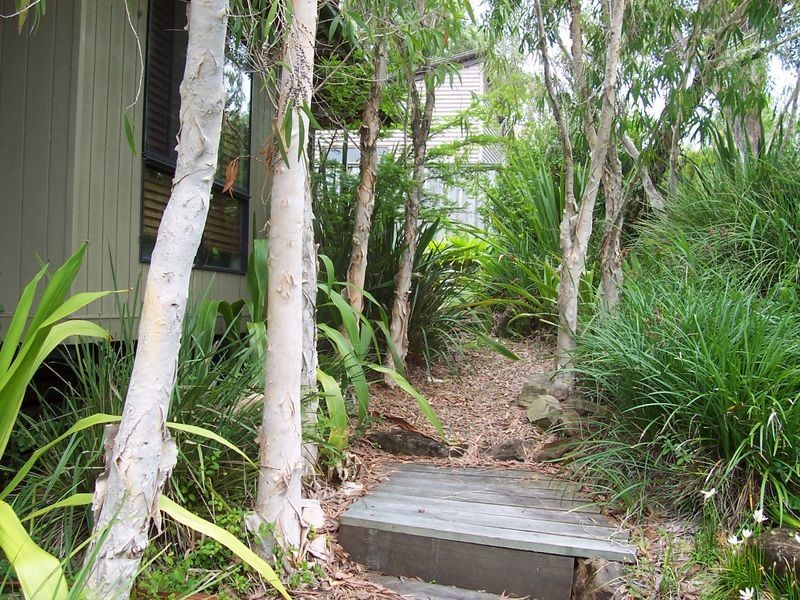 13 Sassafras Street, Pottsville NSW 2489